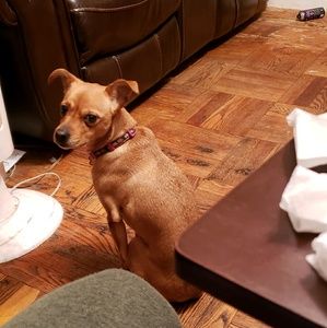 Meet your Posher, Erica